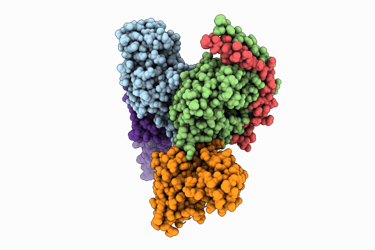 9OXA image