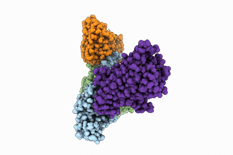 9OXB image