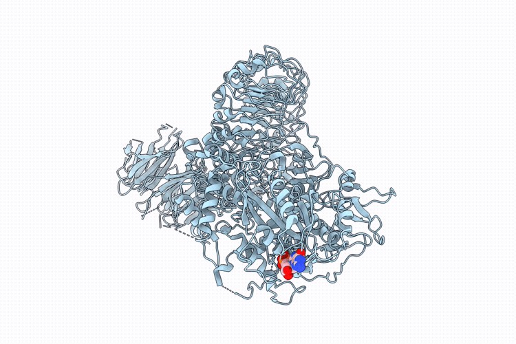 9OXI image