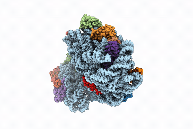 9OYV image