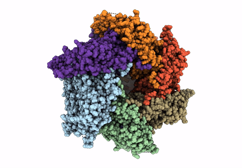 9P01 image