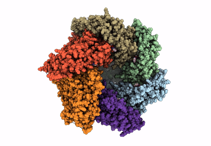 9P02 image