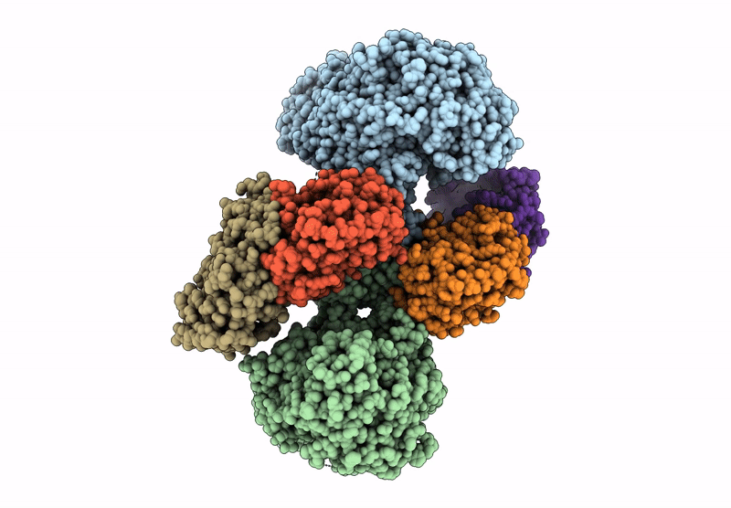 9P11 image