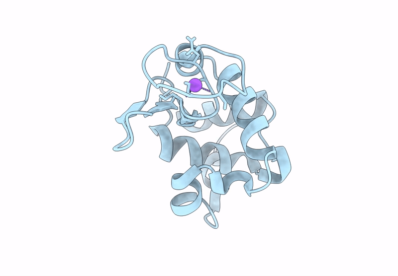 9P12 image