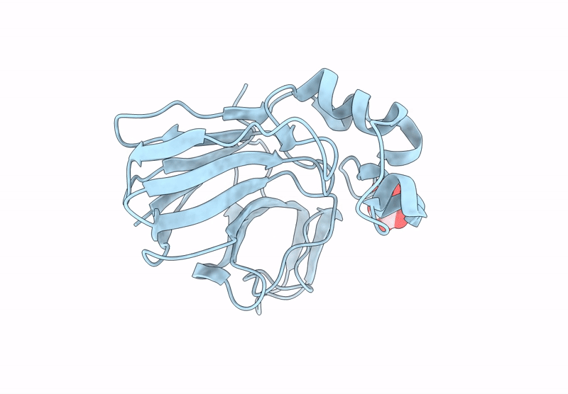 9P15 image