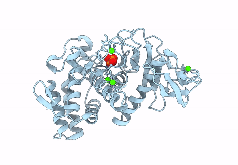 9P16 image