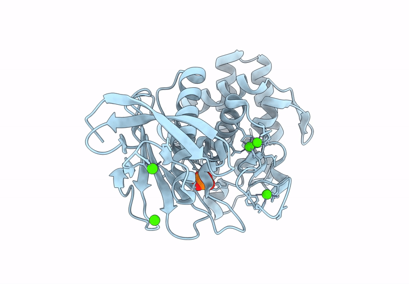 9P17 image