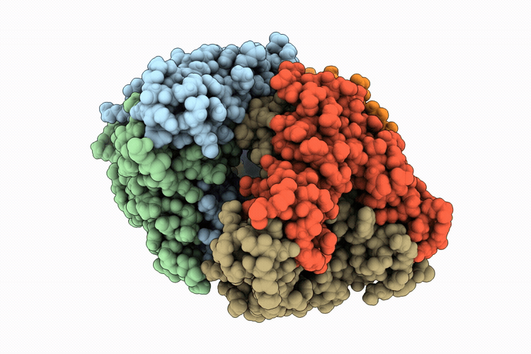 9P19 image