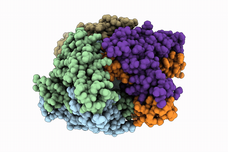 9P1A image
