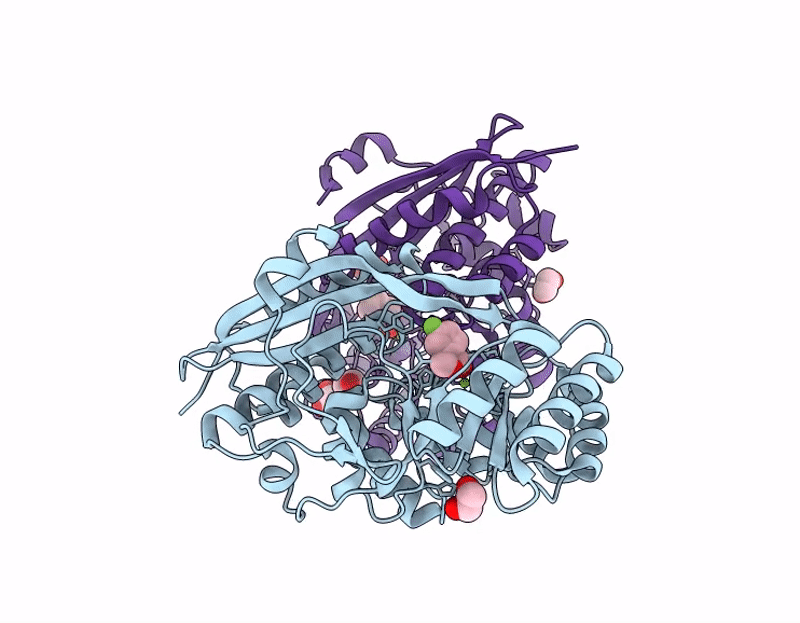 9P1B image