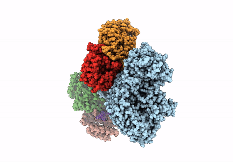 9P1D image