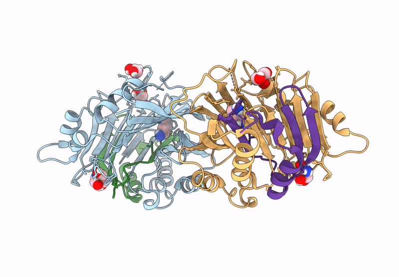9P1H image