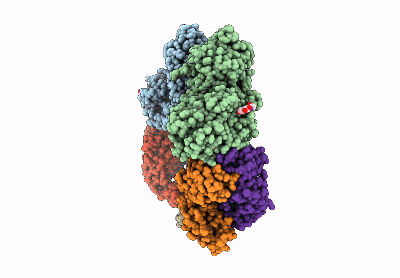 9P1M image