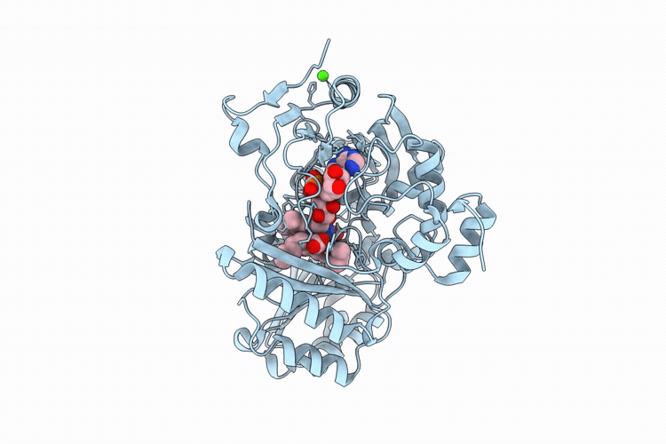 9P1O image