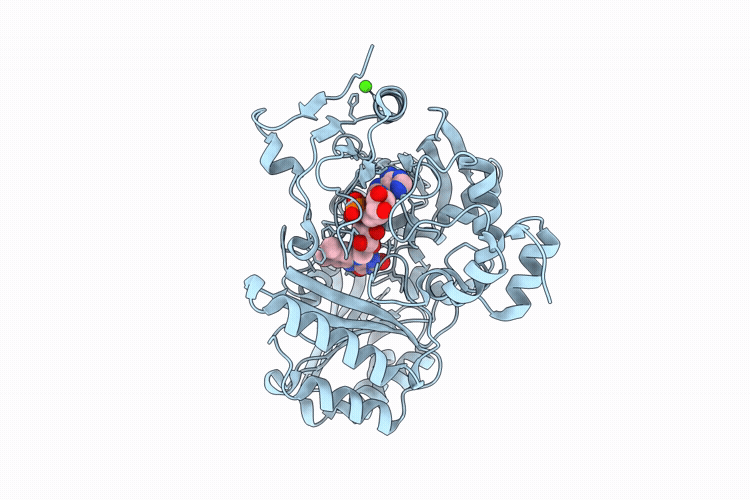9P1R image