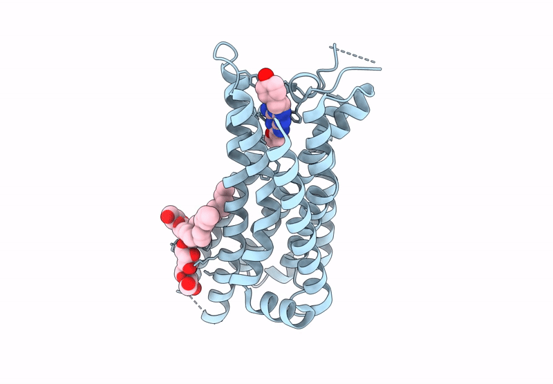 9P1S image