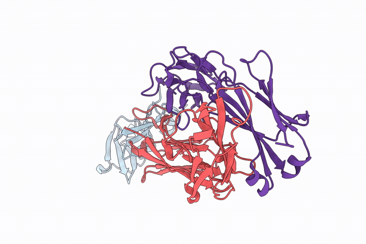 9P1V image