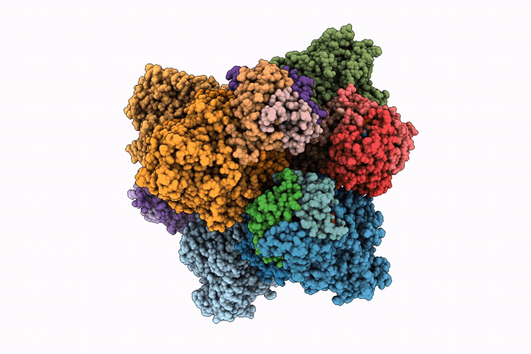9P1X image
