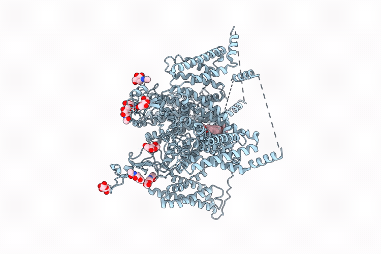 9P24 image