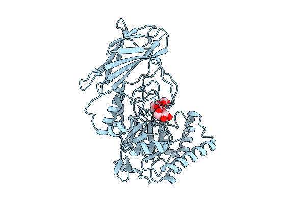 9P28 image