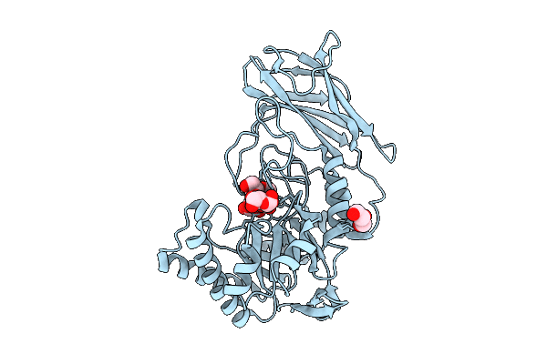 9P29 image