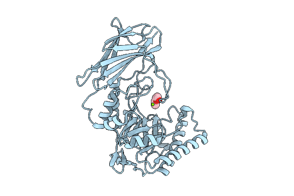 9P2M image