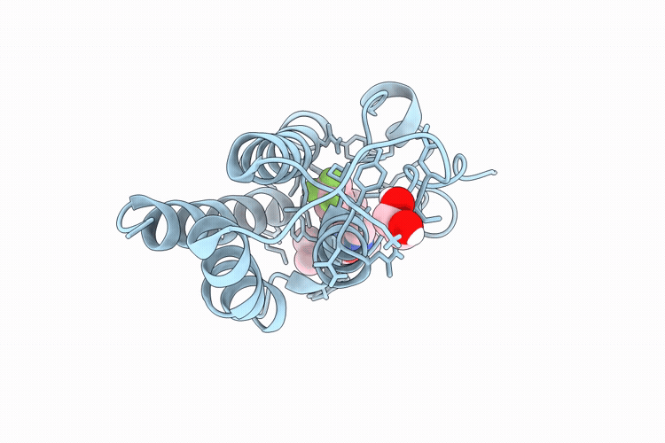 9P34 image
