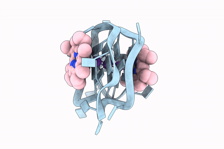 9P3A image