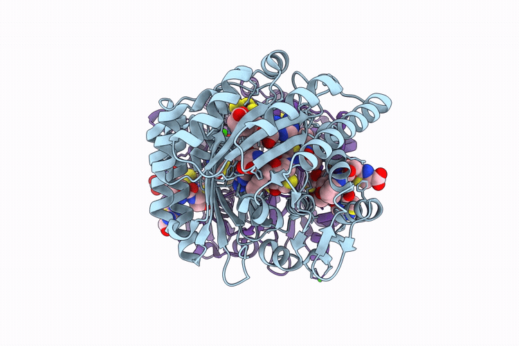 9P3C image