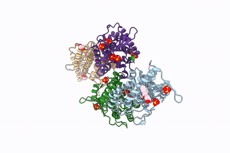 9P3H image