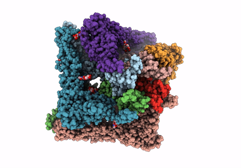 9P3I image