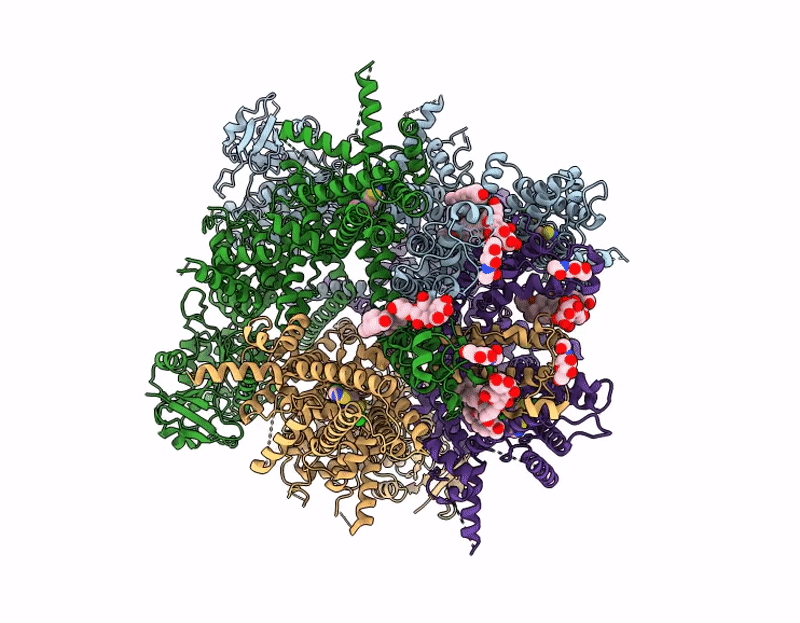 9P3P image