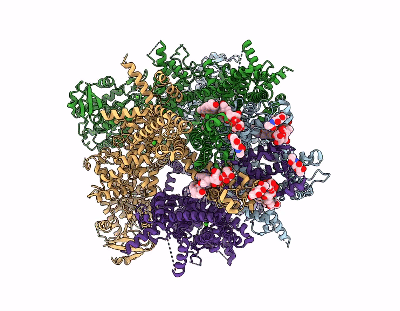 9P3W image