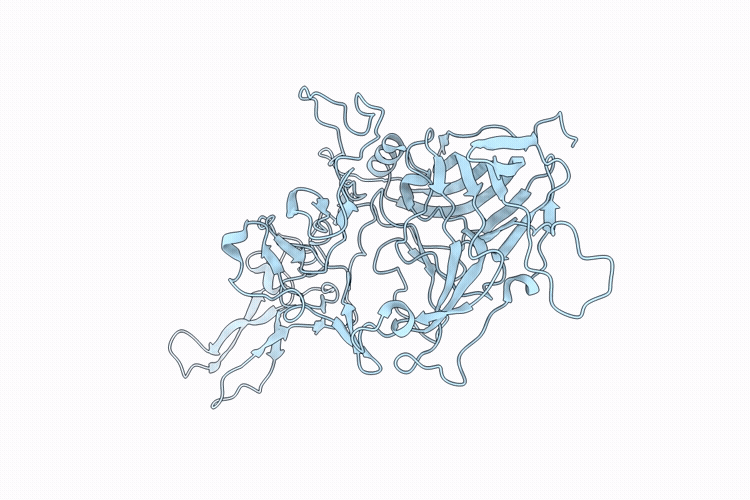 9P4M image