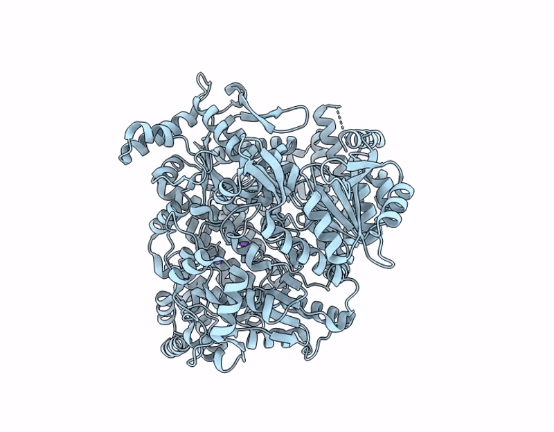 9P4S image