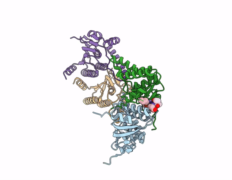 9P53 image
