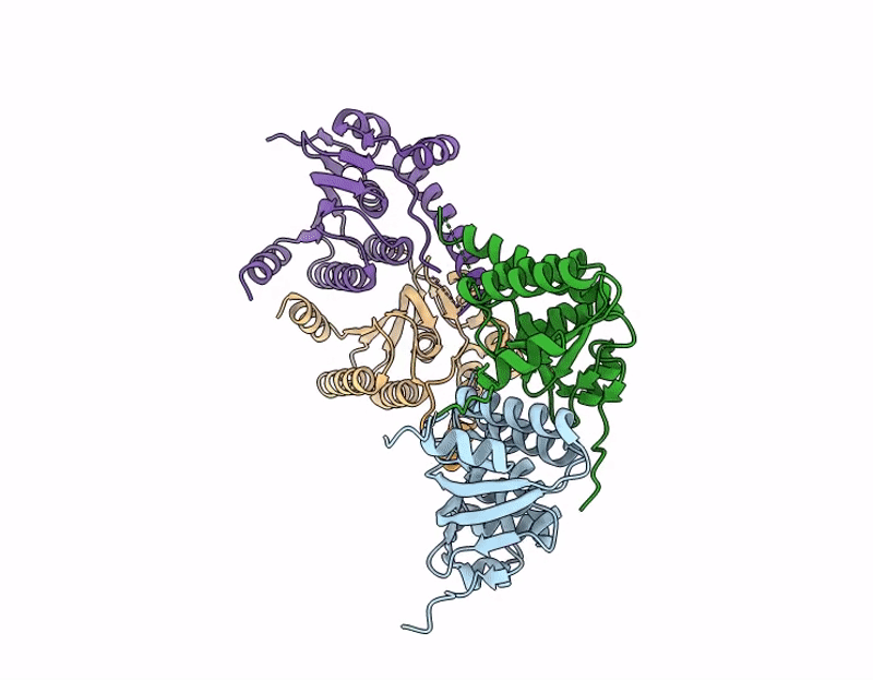 9P54 image