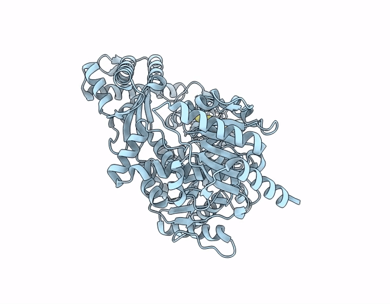 9P55 image