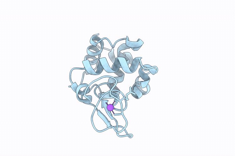 9P56 image