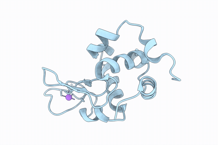 9P57 image
