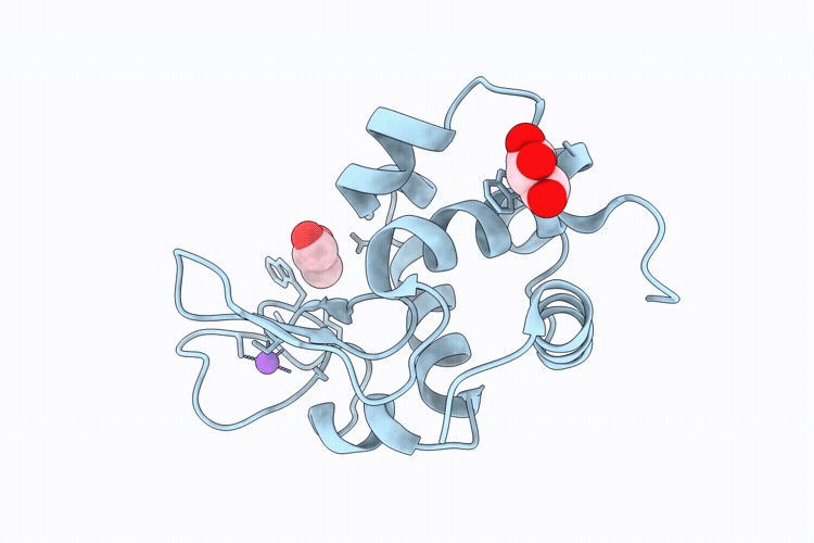 9P59 image