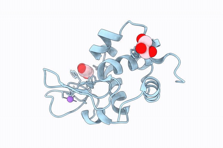 9P5F image