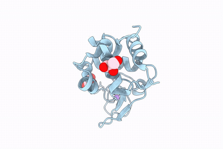 9P60 image