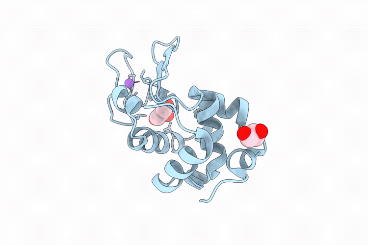 9P62 image