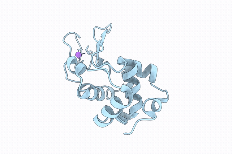 9P63 image