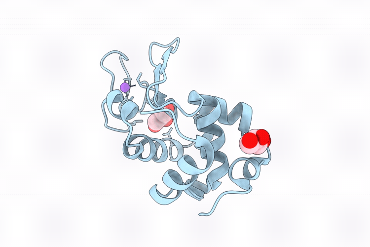 9P64 image