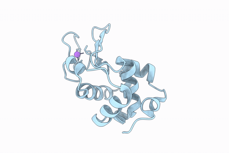 9P65 image