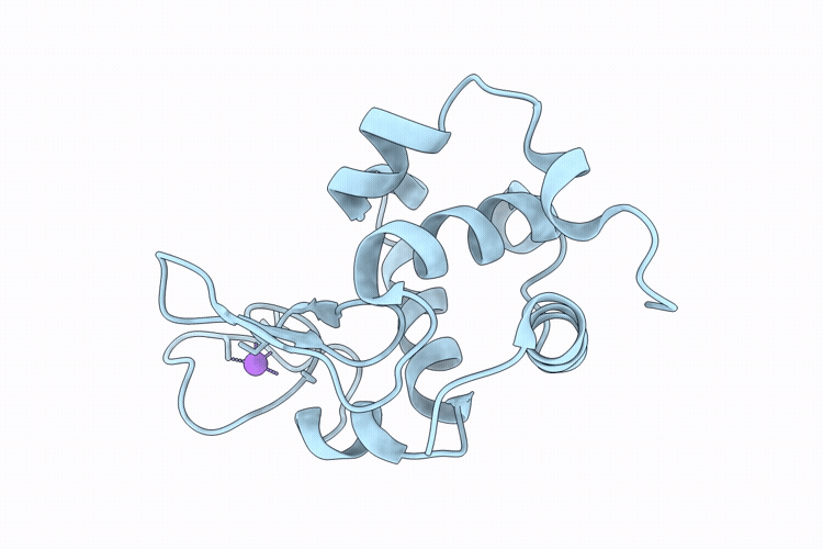 9P66 image
