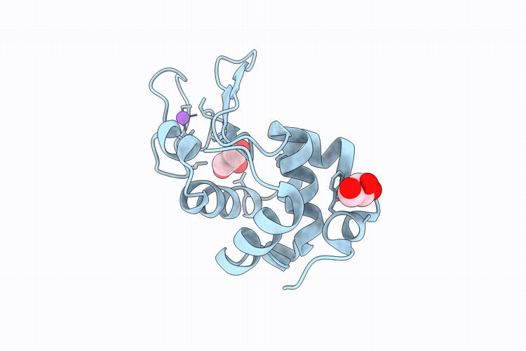 9P67 image