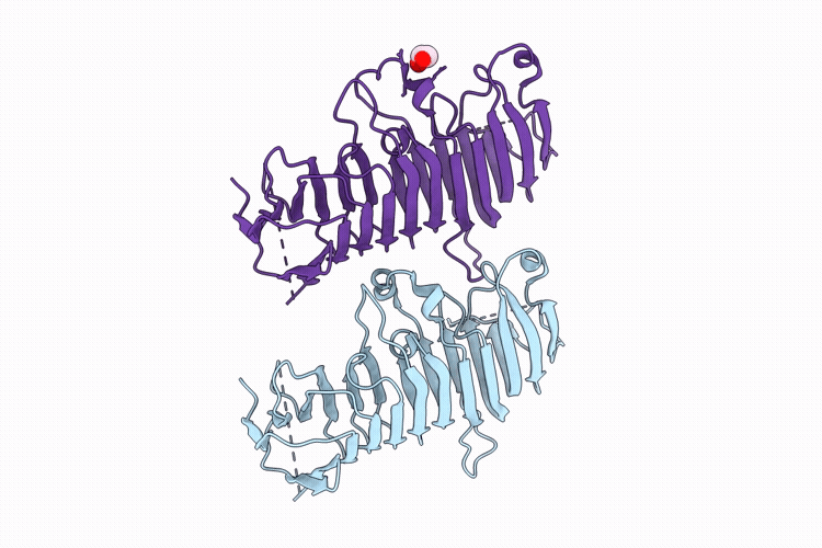 9P6D image